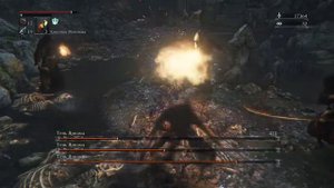 Побеждаем Тени Ярнама (Bloodborne)