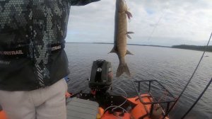 Рыбалка на озере. Водомет или винт что быстрее на старте. Лодка СОЛАР, НДНД по волнам малокилевая.