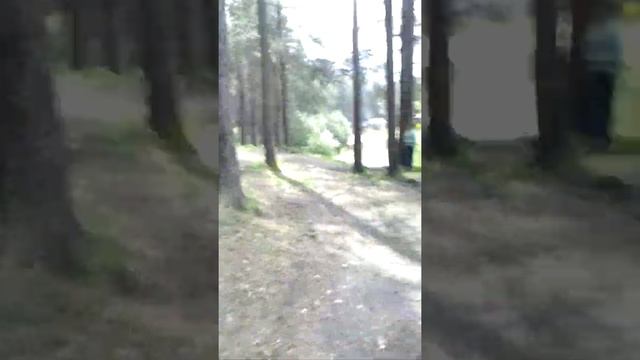 Сертолово смотреть онлайн