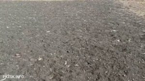 Секреты хорошего урожая картофеля.