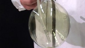 ХЛОРИРОВАНИЕ БЕНЗОЛА.ХИМИЯ