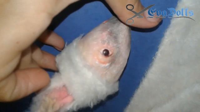 Бесплатный мастер-класс авторская подвижная кукла // Мастер класс авторская кукла для начинающих смотреть онлайн