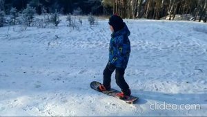 Спуск на сноуборде в лесу