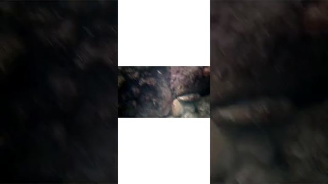 Широкая балка. Новороссийск. смотреть онлайн