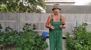 Простой способ заточить лезвия Gillette Mach 3