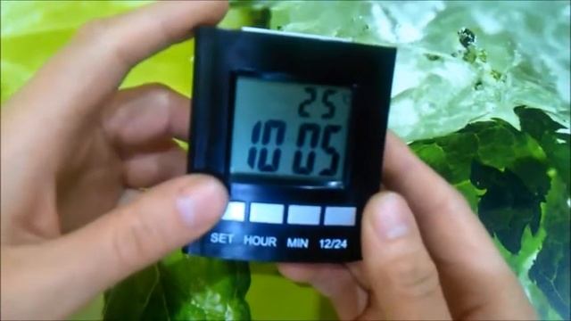Говорящие часы Настройка Обзор