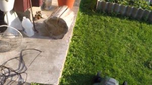 Электрическая газонокосилка Oasis GE-14 (Часть 2)