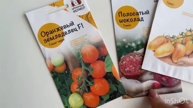 Отличие индетерминантных и детерминантных сортов томата Что такое БИФ томат