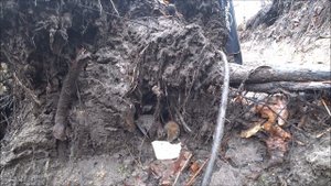 СУМАСШЕДШИЙ КЛЕВ СОРОГИ.РЫБАЛКА НА БОКОВОЙ КИВОК