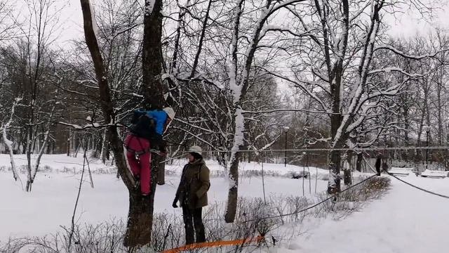 Параллельные перила