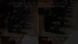 Sony NEX-FS100 / T2i Comparison