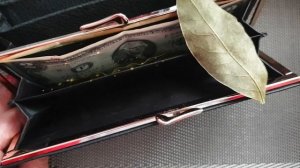 Обязательно положите это в кошелек! Надежный денежный талисман