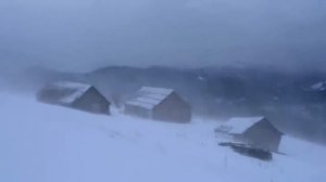 Снежный буран, метель, вьюга. Релаксация и спокойствие под звуки зимы.