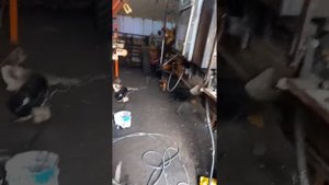 установка компрессора на двигатель А-01М