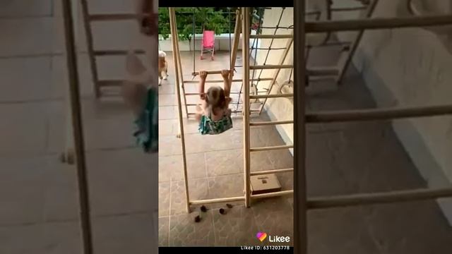 Видео-отзыв наших клиентов Tigerwood смотреть онлайн