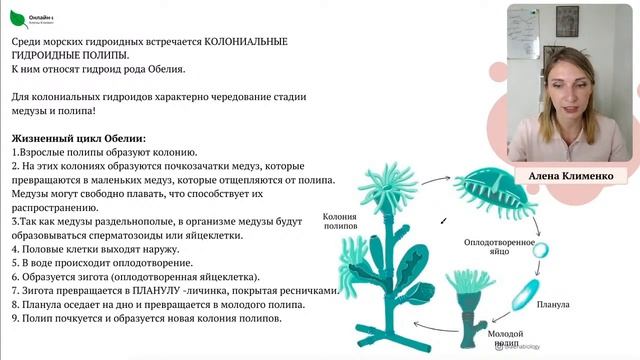 День 2. Тип Кишечнополостные