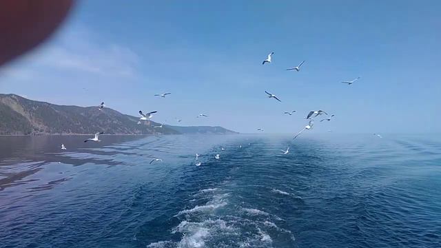 БАЙКАЛ КРАСОТА ,,2022" смотреть онлайн