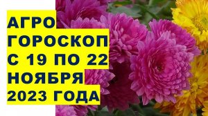 Агрогороскоп с 19 по 22 ноября 2023 года. Agrohoroscope from November 19 to 22, 2023