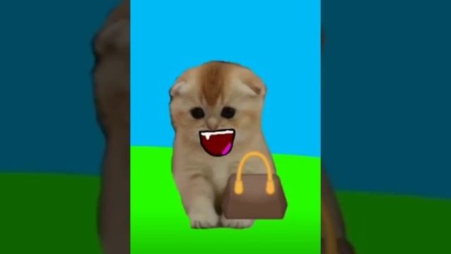 Недели котёнок Shorts (9) смотреть онлайн