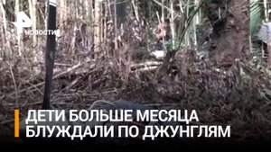 Чудо в джунглях: в Колумбии через 40 дней после авиакатастрофы спасли 4 детей / РЕН Новости