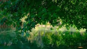 04 - Практика присутствия, Джоэл Голдсмит.