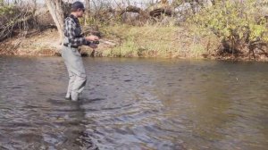 Big Brown Trout! ~Boise River Fall Fishing Report~