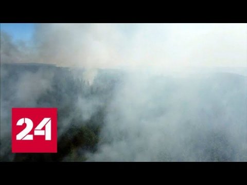 Лесные пожары: эпицентр огненной стихии – Сибирь - Россия 24