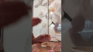 укоренение листа фиалки