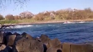 Новотроицкое водохранилище начало нереста