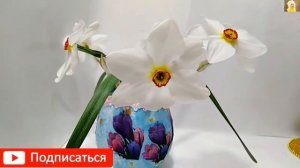 Нет слов!ОФИГЕННАЯ КРАСОТИЩА! Все в ШОКЕ?предлагаю:2 идеи поделки на 8 марта и Святого Валентина DI