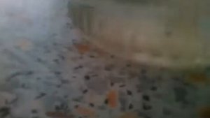 Что будет если смешать подсолнечное масло с водой