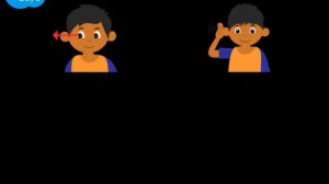Commands - look, listen, read, write