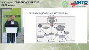 Фибродисплазия оссифицирующая прогрессирующая: разговор о неуправляемом остеогенезе