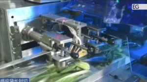 Станок для упаковки зелени KT450XW