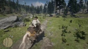 Все элитные лошади рдр2 как оставить после смерти Артура Моргана Джону Марстону