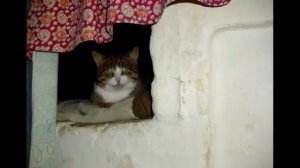 Юрий Краснопёров — Бобыль