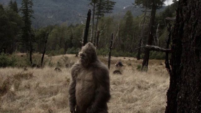 Снежный человек-йети,бигфут страшилки на ночь смотреть онлайн