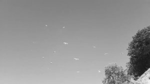 Nanette Scriba - The cold song (before Klaus Nomi)