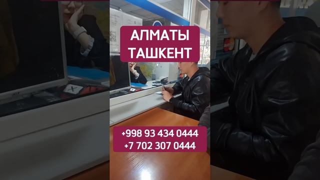 Алматы Ташкент автобус лежачий #алматы #ташкент #спальный #автобус #такси