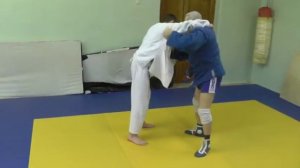 Задняя подножка