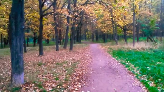 Парк Новознаменка Санкт Петербург
