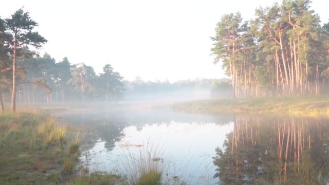 Пока жена спала, нам стещей было не до сна. История из жизни. смотреть онлайн
