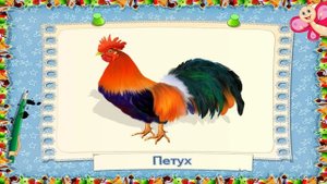 Мир вокруг нас: Знакомство с животными для детей и малышей