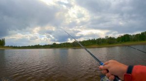 Идёшь на рыбалку? Не забудь КОЛЕБАЛКУ! Ловля щуки и окуня на джиг и блесны. Спиннинг 2021.