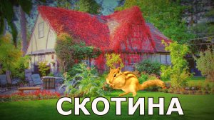"Скотина".