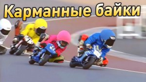 ГОНКИ НА МИНИАТЮРНЫХ МОТОЦИКЛАХ В ЯПОНИИ