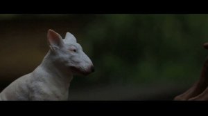 История Господства Наследие Гефеста // ИСТОРИЯ ПЛАТИНЫ 3 эпизод \\ шляйх schleich сериал про собак