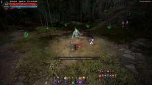 Black Desert (BDO) Босс Бамбуковый генерал первое прохождение по кв Страна Утра Boss Bamboo General