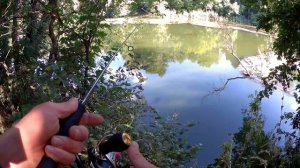 Классная рыбалка на микроджиг летом.  Ловля окуня на спиннинг