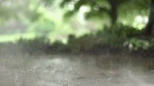 ...жизнь без страха смерти...